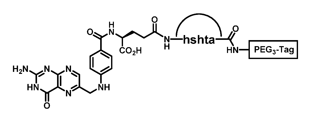 Figure imgf000101_0001