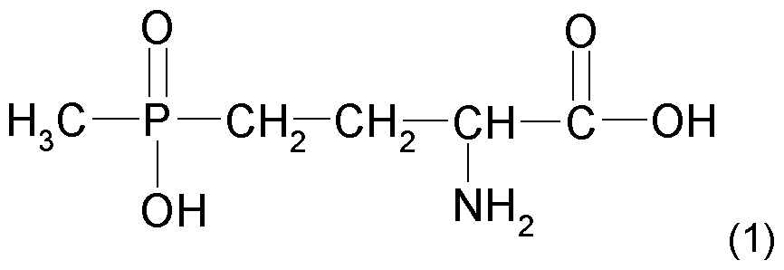 Figure imgf000002_0001