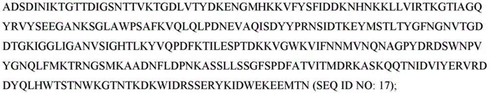 Figure BDA0002292915940000382