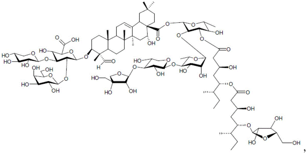 Figure FDA0003392355280000081