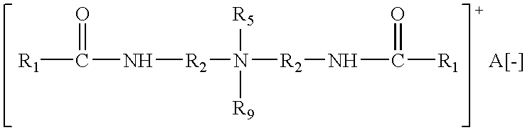 Figure US20050124738A1-20050609-C00025