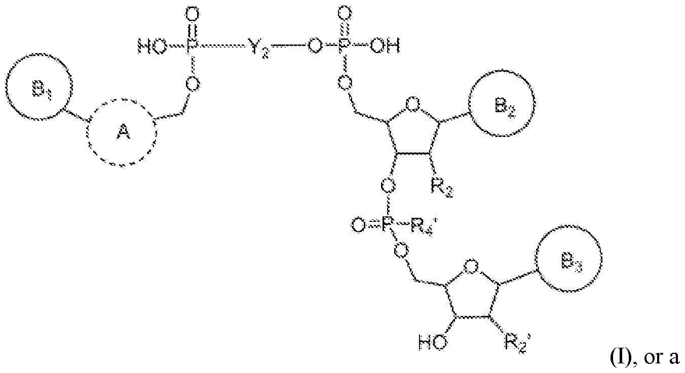 Figure imgf000062_0001