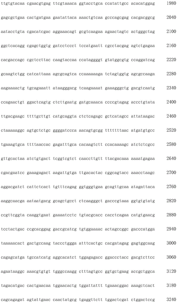 Figure IDA0002872168960000641