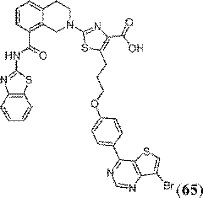 Figure BDA0000083236130002192