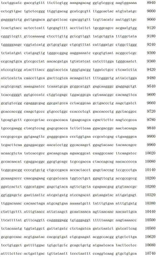 Figure IDA00003076741800351