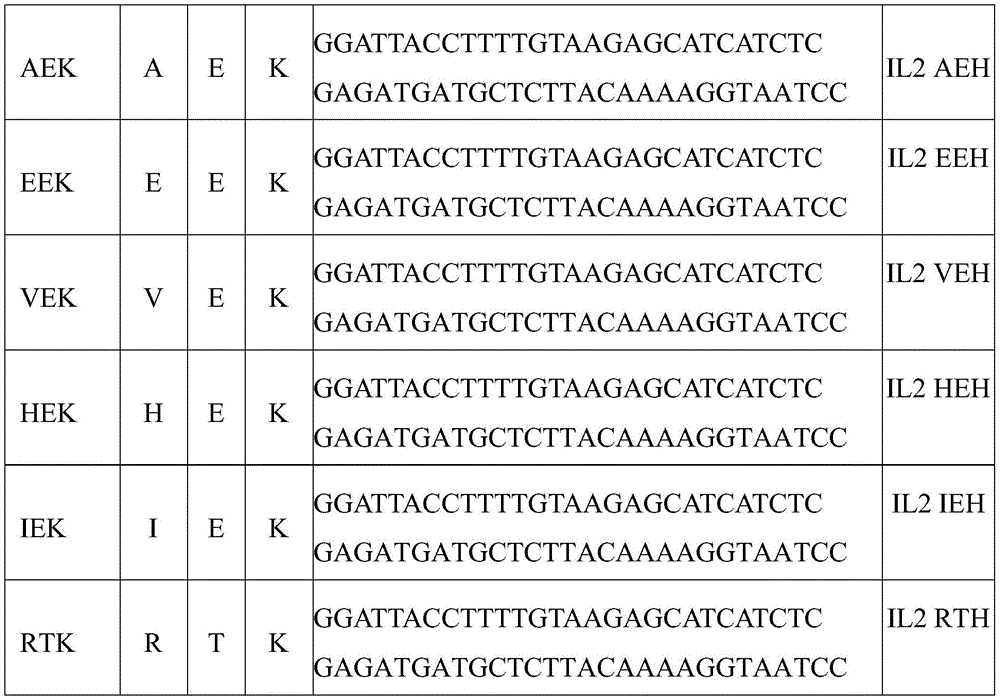 Figure BDA0003843635370001411