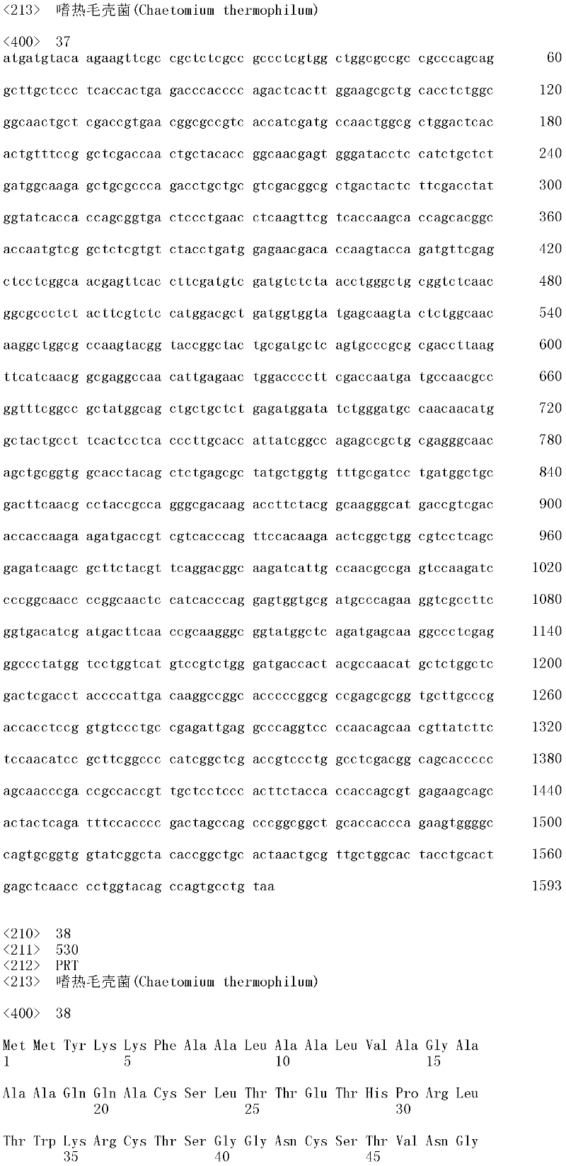 Figure IDA0000123230260000391