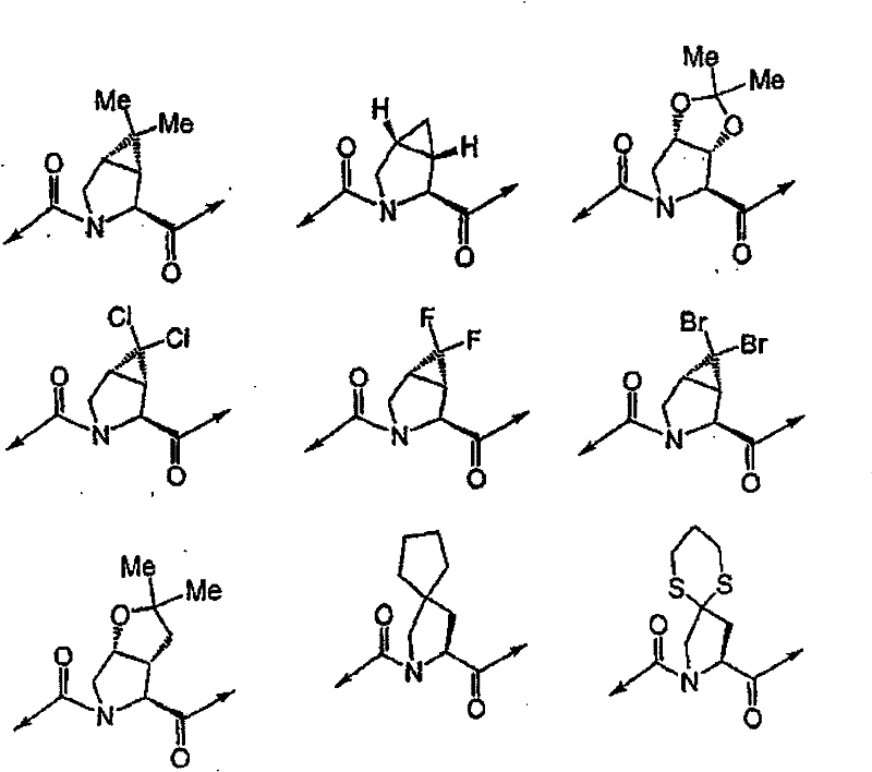 Figure BSA00000554725400383