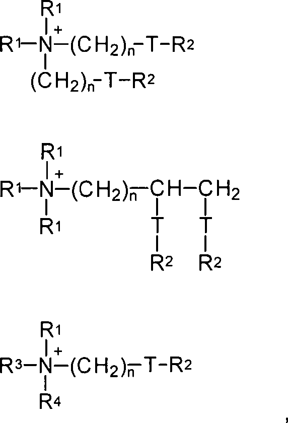 Figure DE102007032111B4_0005