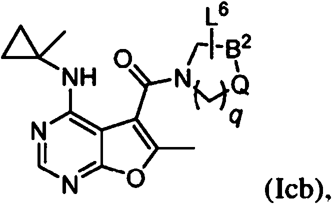 Figure imgf000005_0001