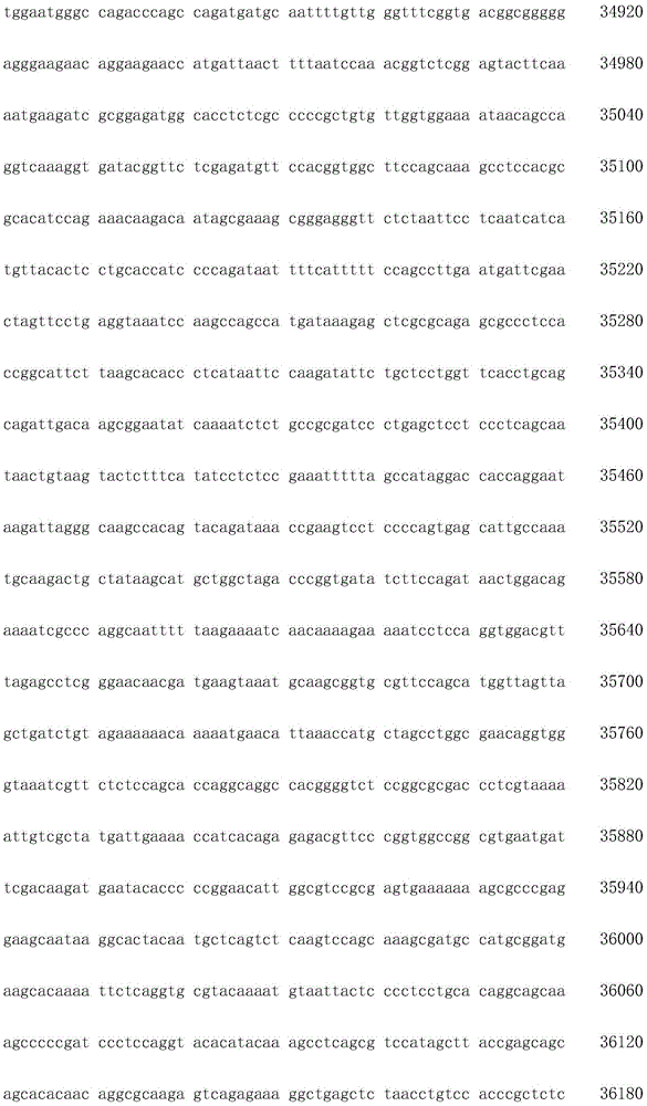 Figure IDA0002872168960000281