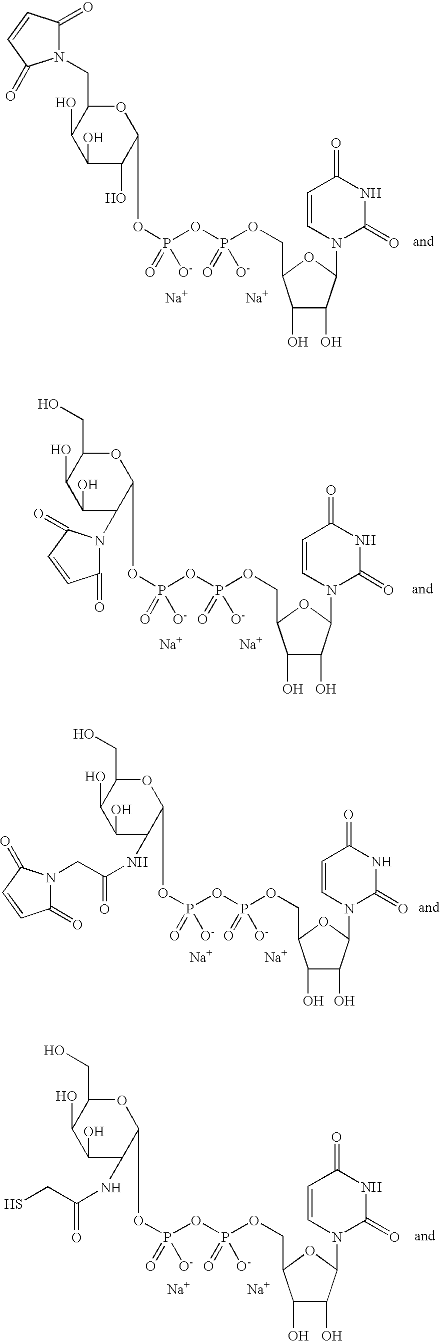 Figure US20080108557A1-20080508-C00170