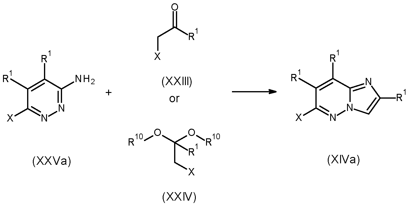 Figure imgf000080_0002