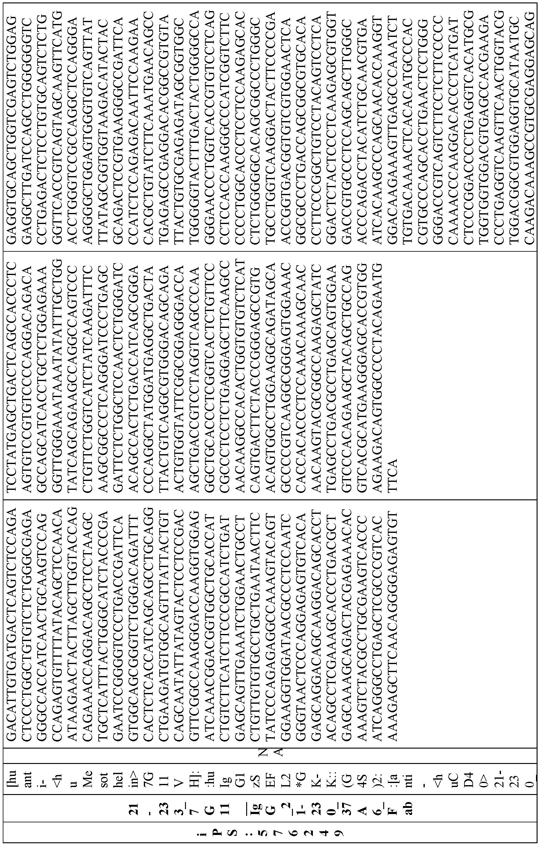 Figure imgf000551_0001