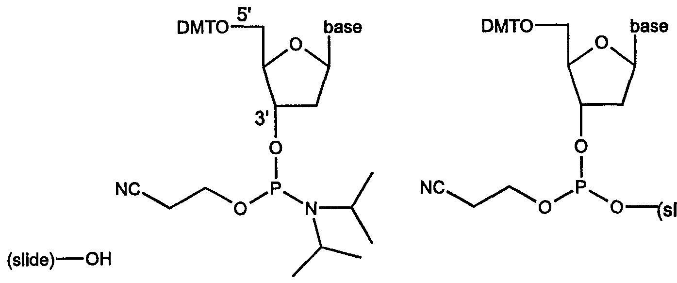 Figure imgf000041_0001