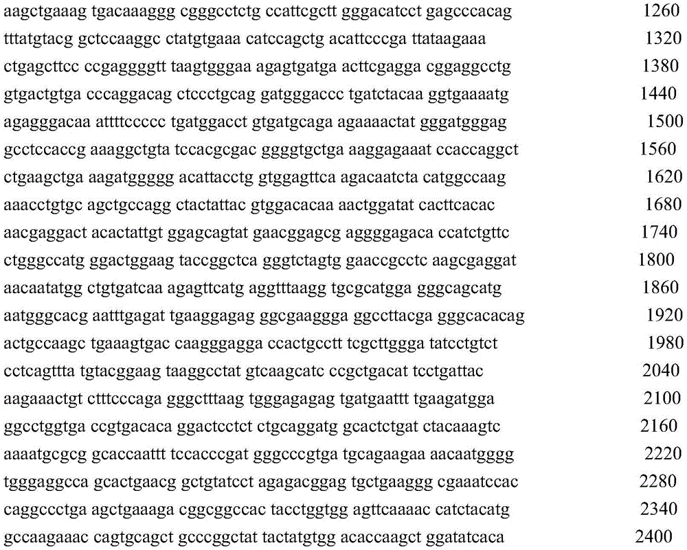 Figure GDA0004072109420000361