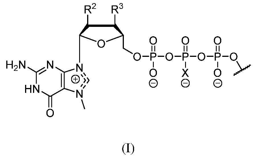 Figure imgf000206_0001