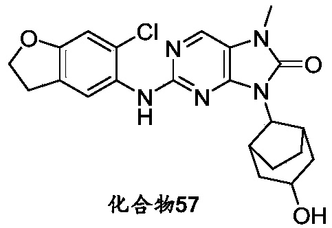 Figure PCTCN2020141860-appb-000083