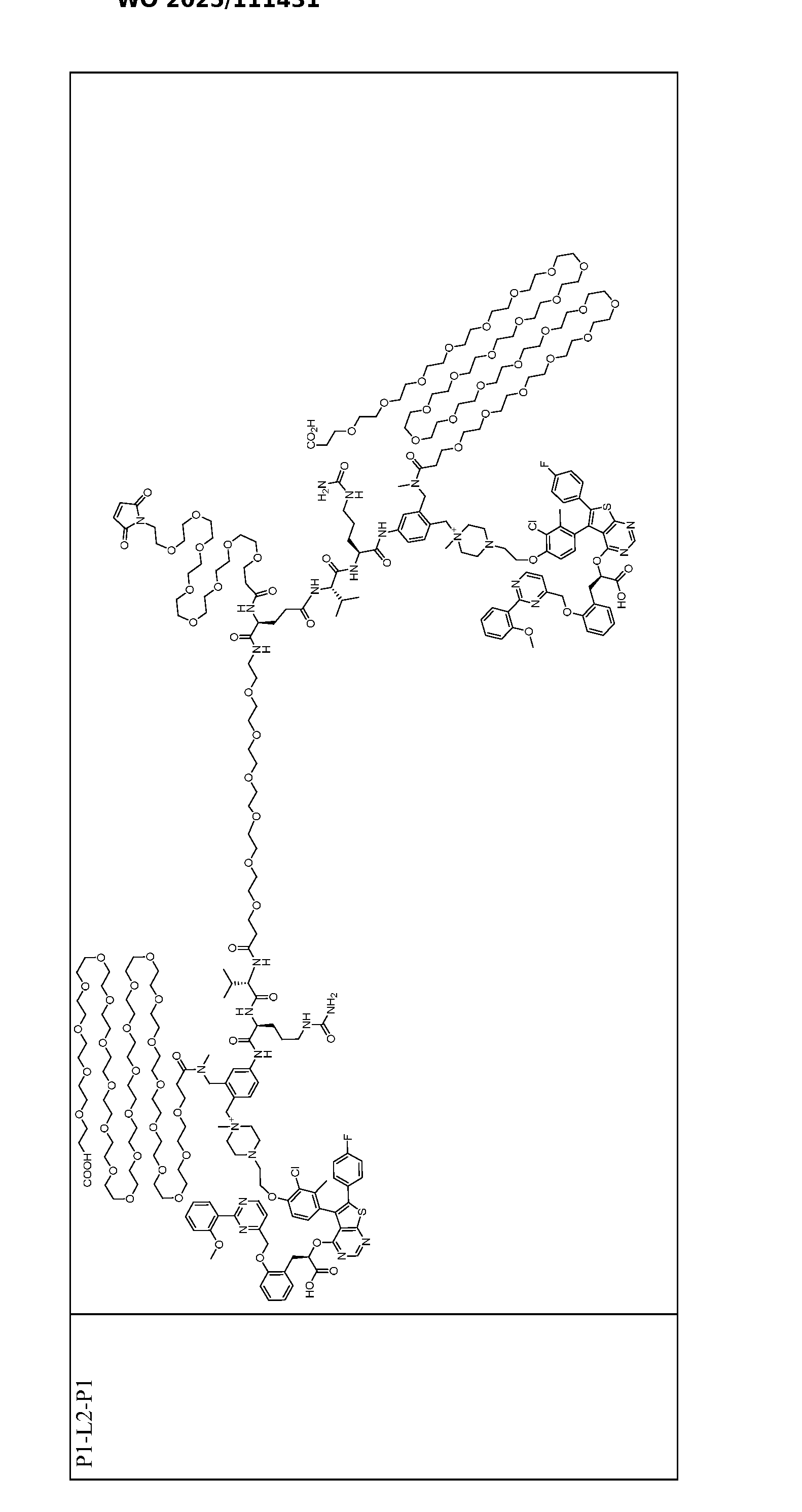 Figure imgf000133_0001