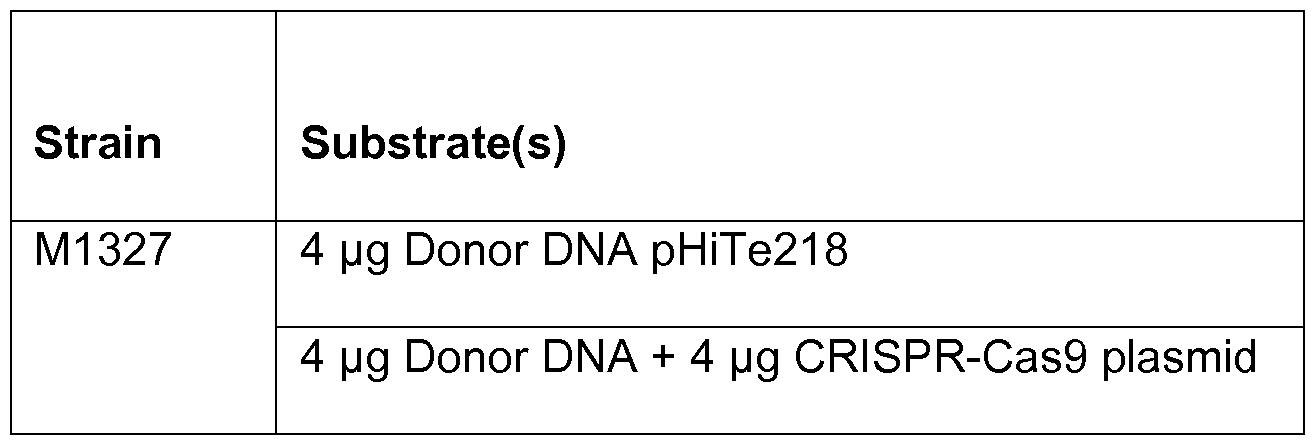 Figure imgf000050_0001