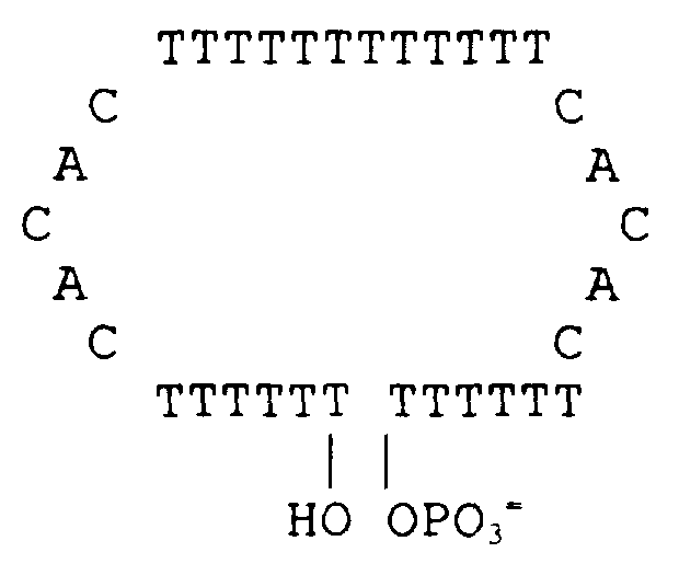 Figure imgf000079_0001