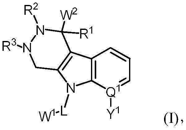 Figure BDA0001158533560000011