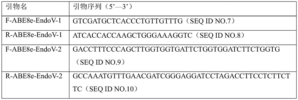 Figure BDA0003740674620000131