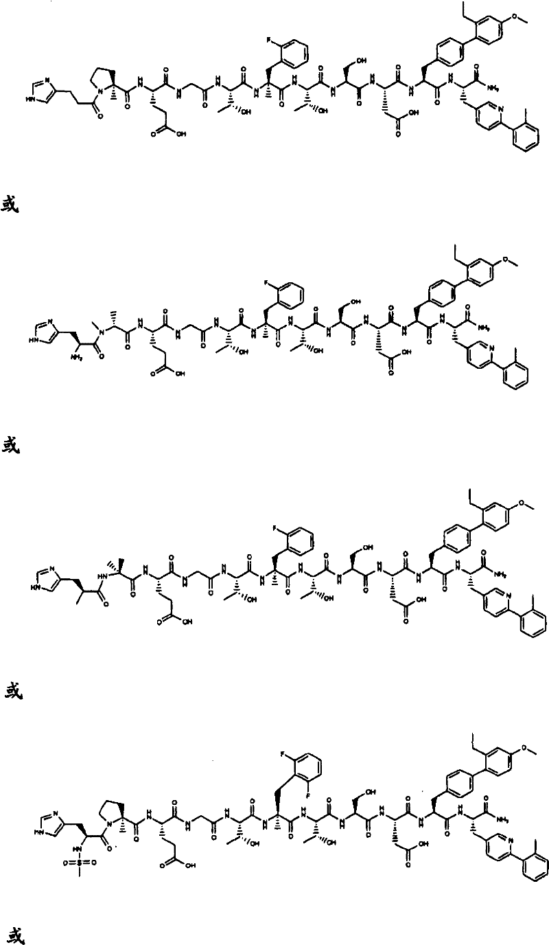 Figure B2005800295435D00191