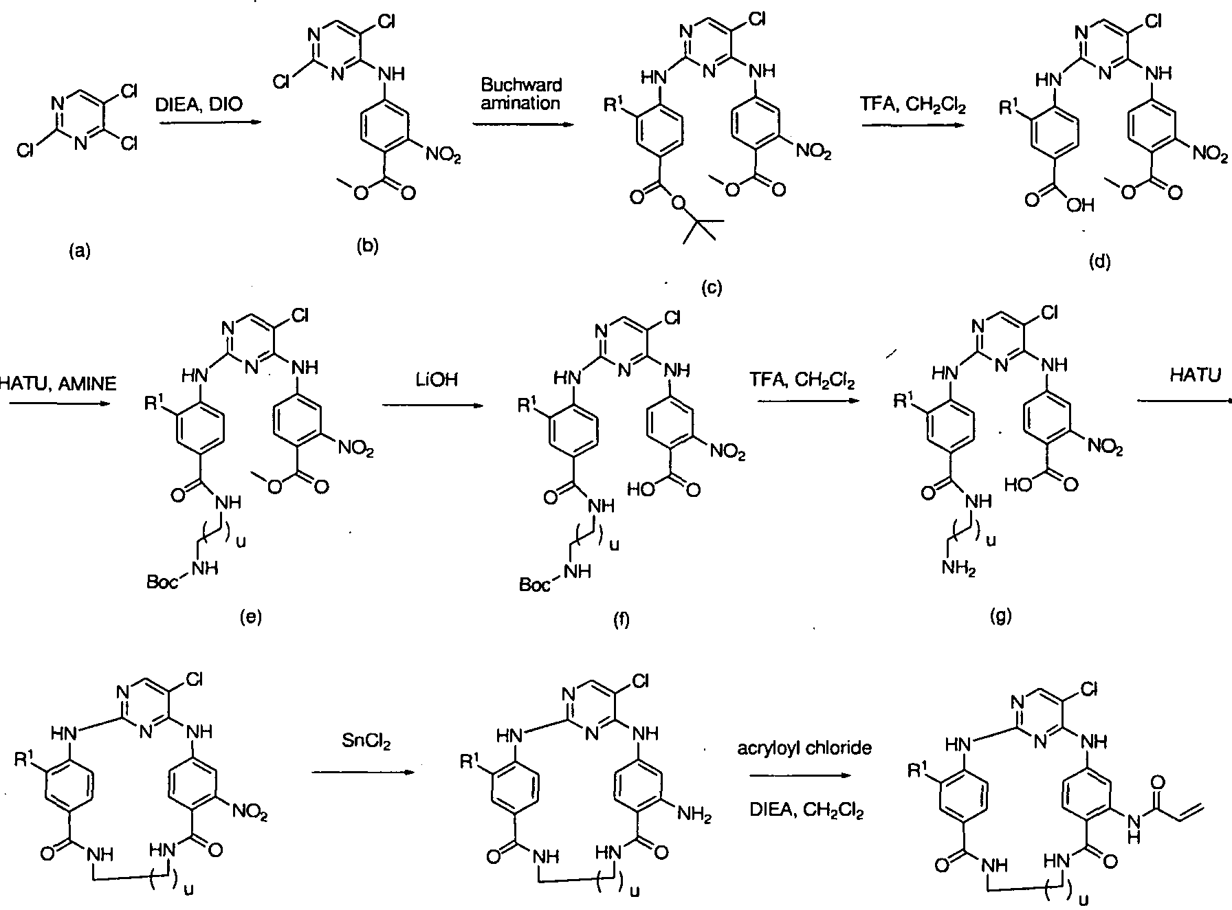 Figure imgf000061_0001