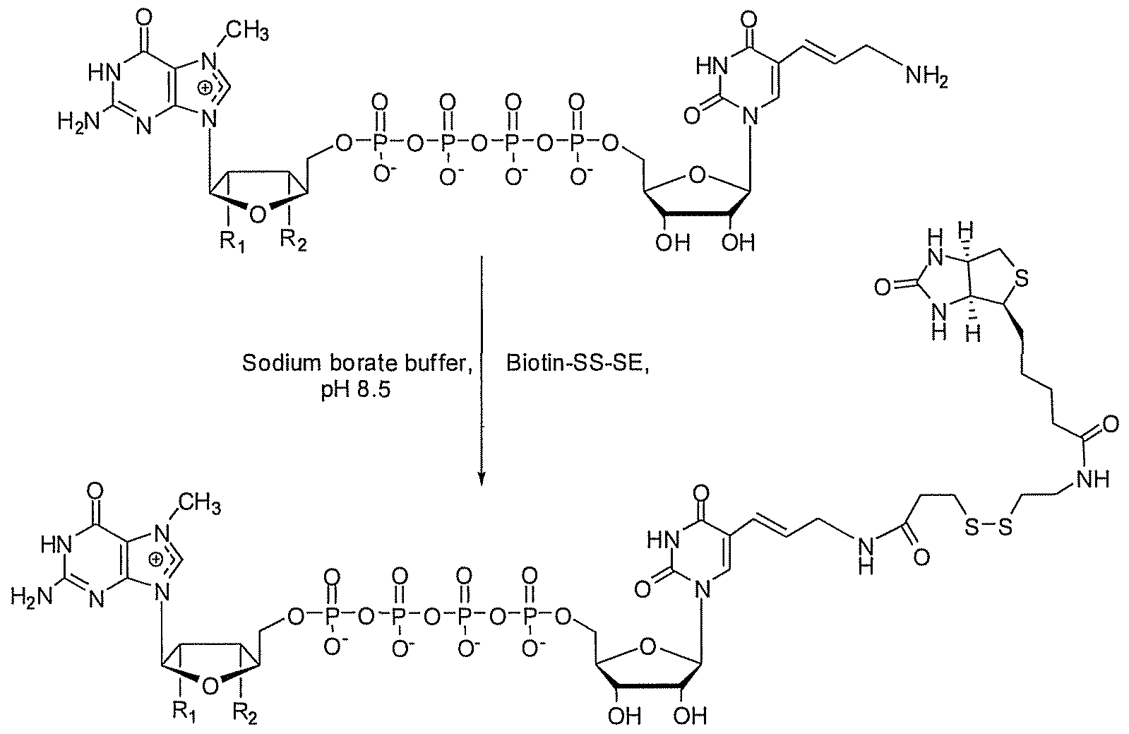 Figure imgf000043_0001