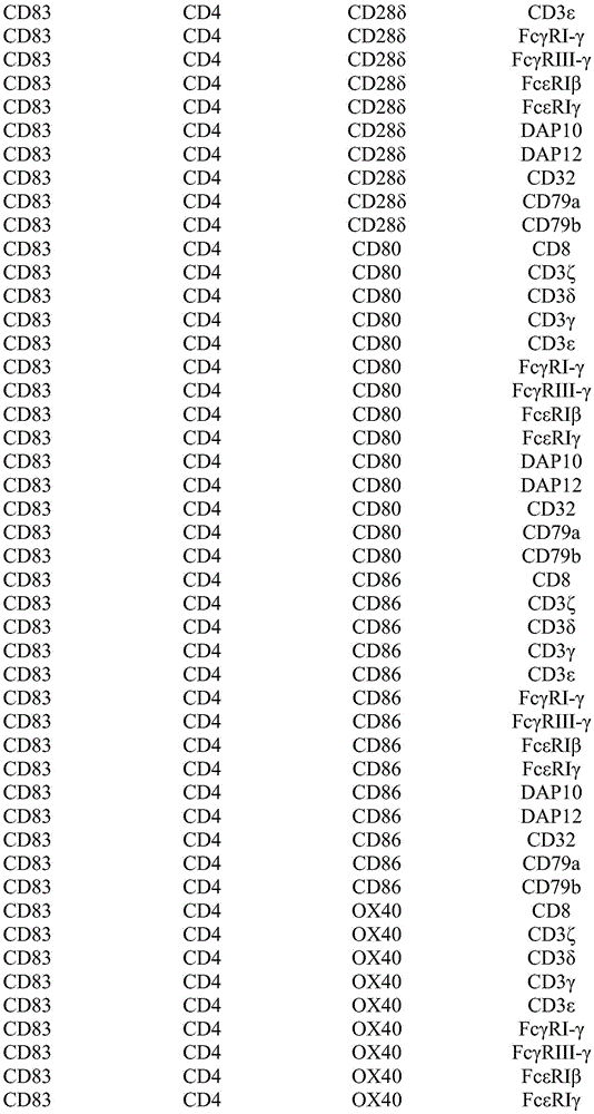 Figure BDA0002739446740000381