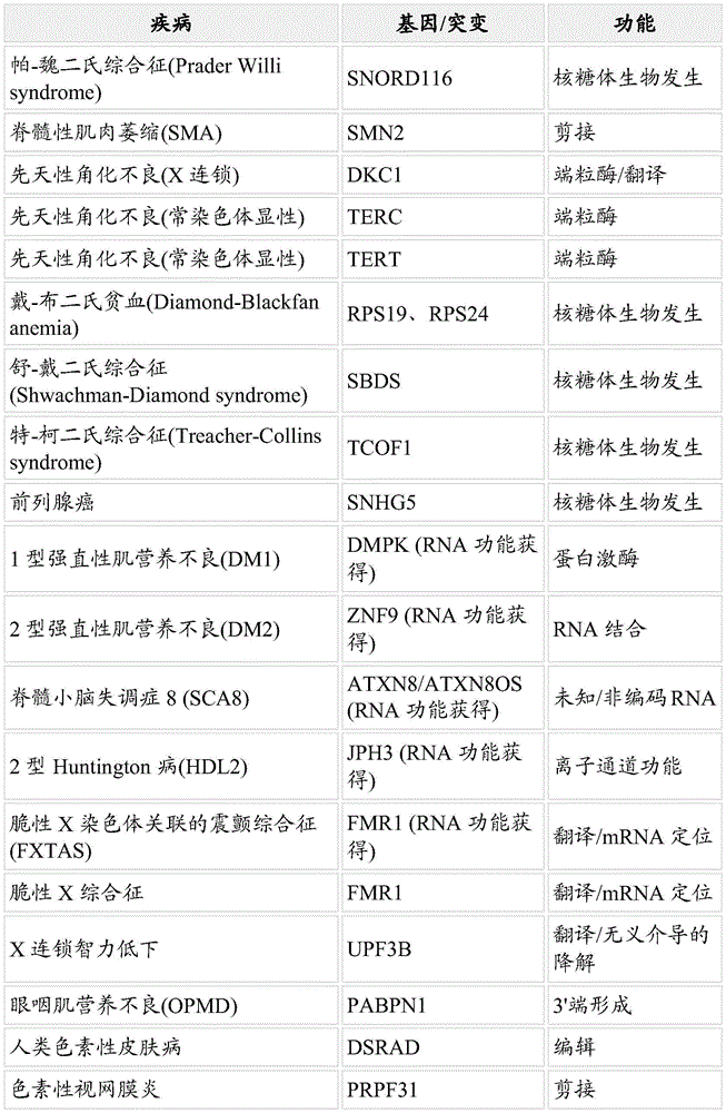 Figure BDA0002313867470002221