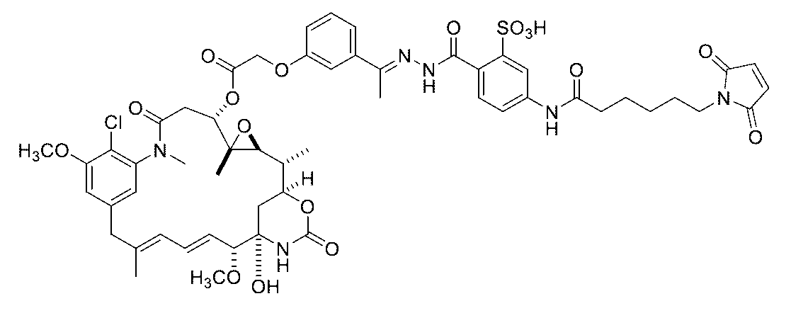 Figure 0007442821000031
