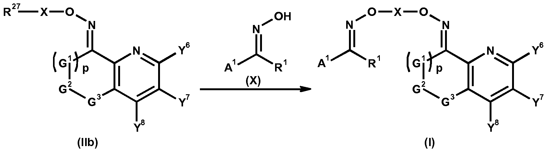 Figure imgf000032_0002
