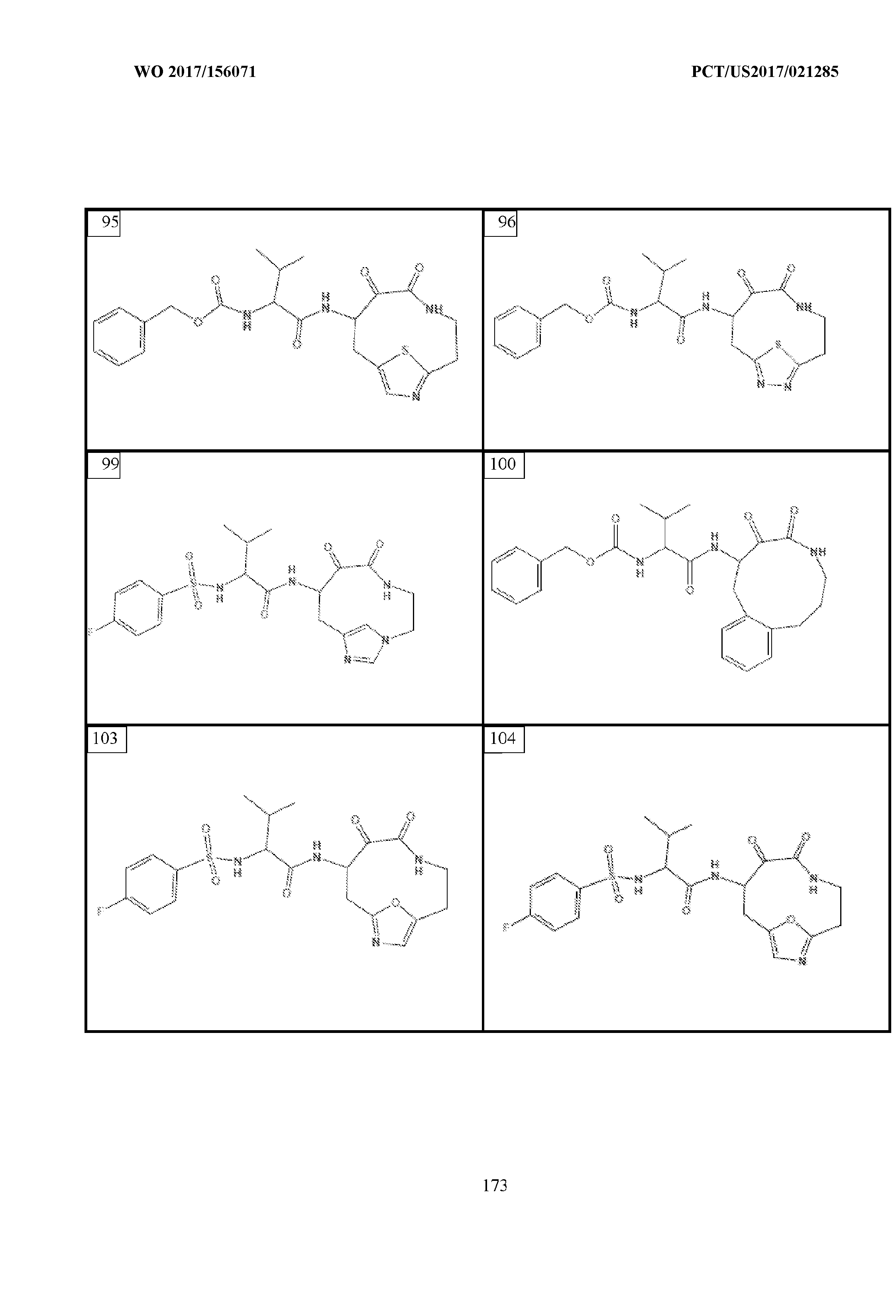 Figure imgf000174_0001