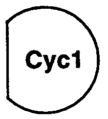 Figure imgf000216_0001