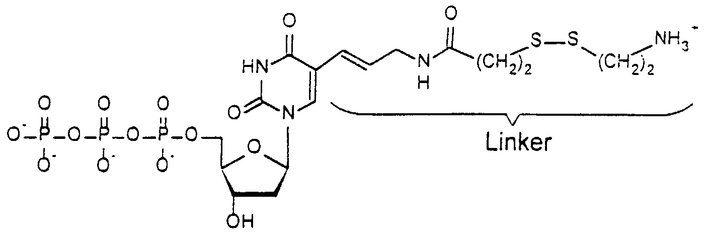 Figure imgf000097_0002
