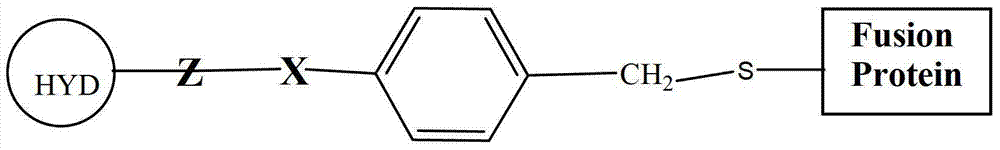 Figure BDA00003626100100121