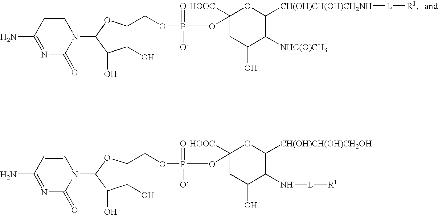 Figure US20070154992A1-20070705-C00016