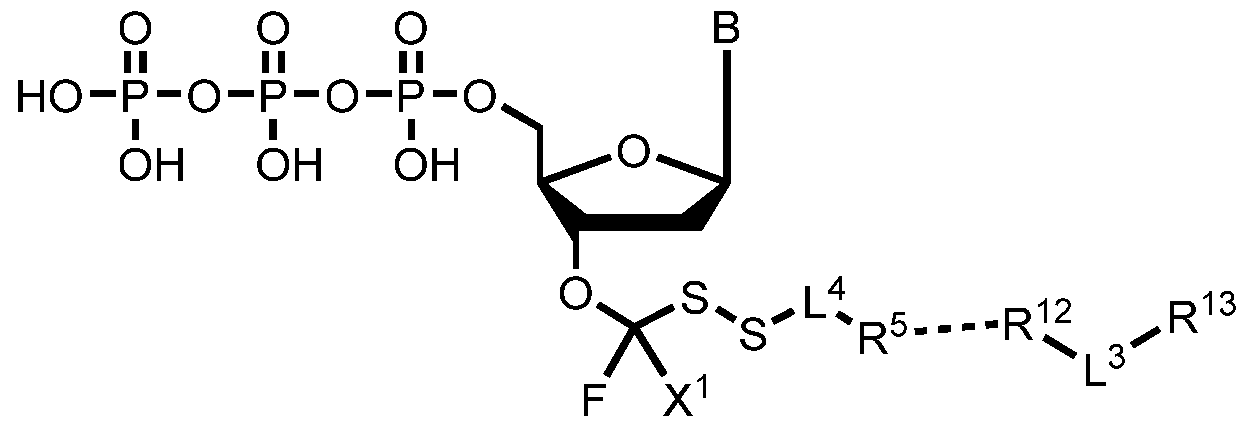 Figure imgf000239_0003