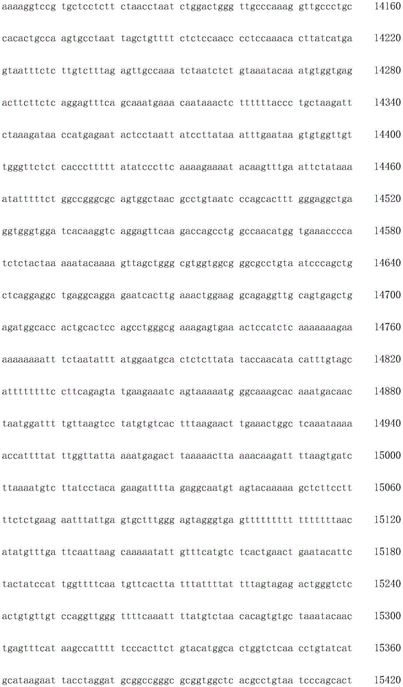 Figure IDA0003936212790001121