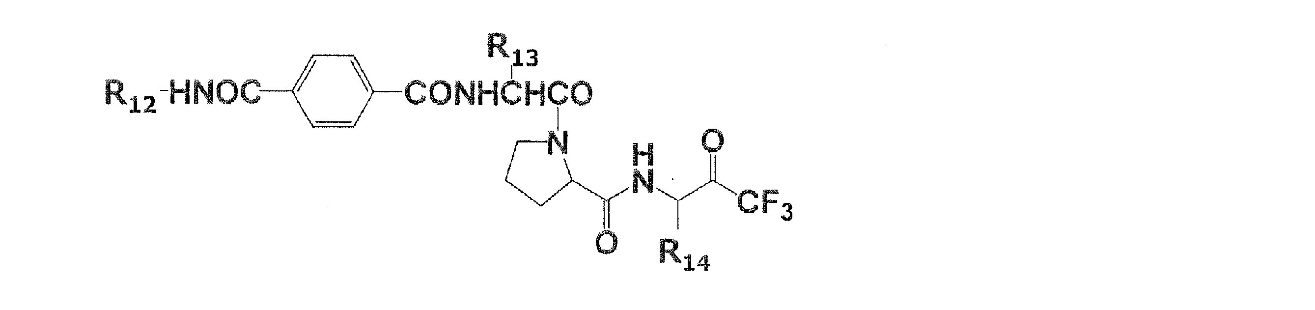 Figure 0007102658000028