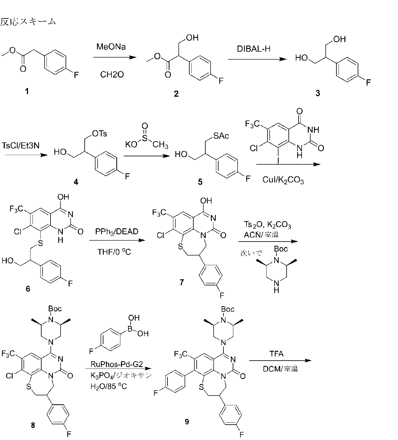 Figure 2025514185000072