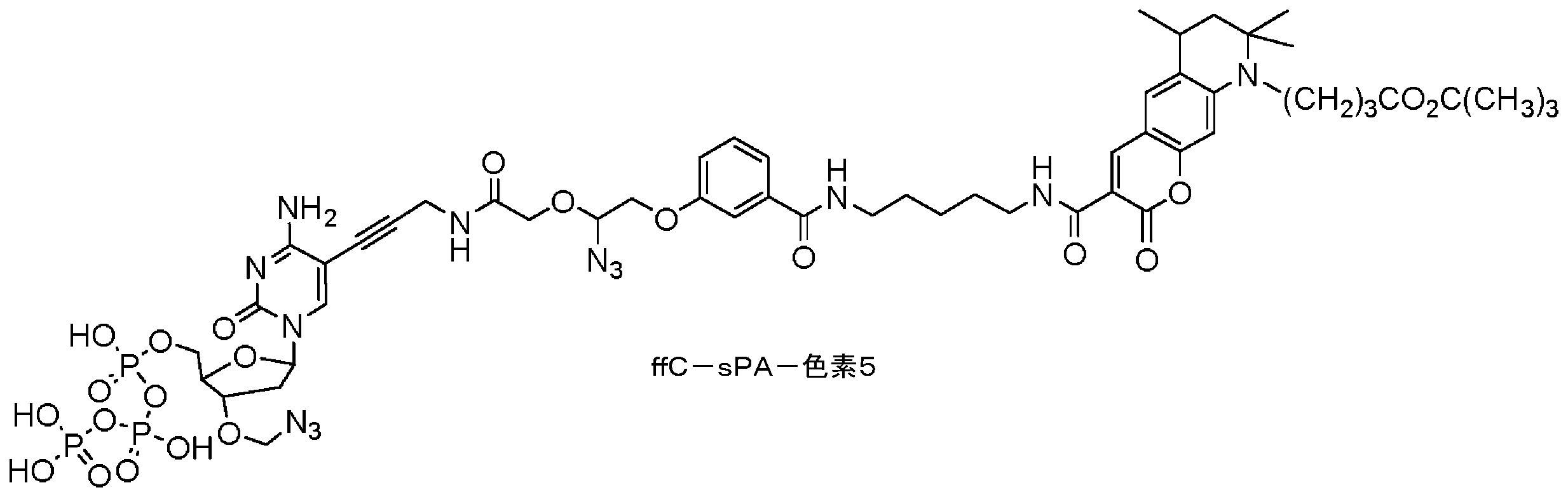 Figure 2023510454000091