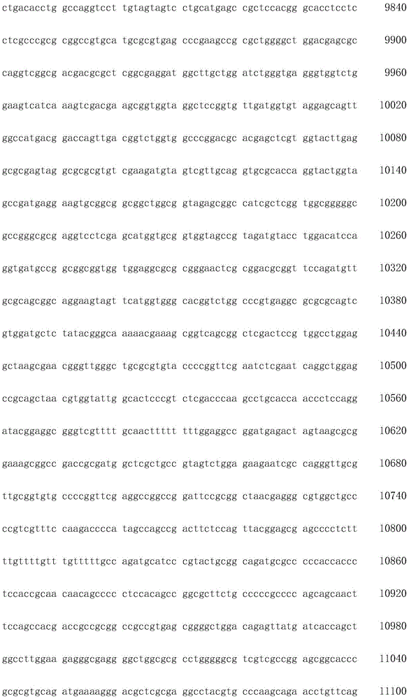 Figure IDA0002872168960000091