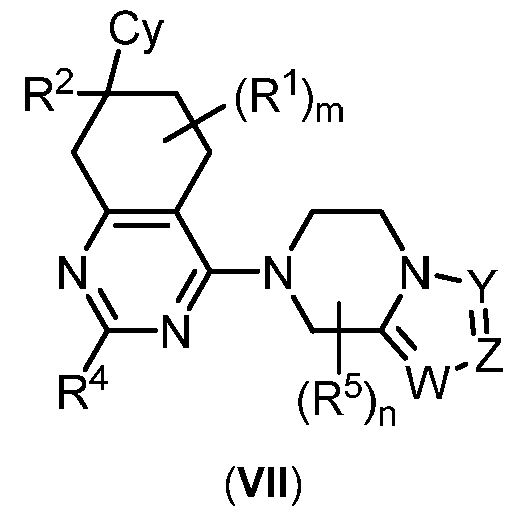 Figure imgf000024_0003