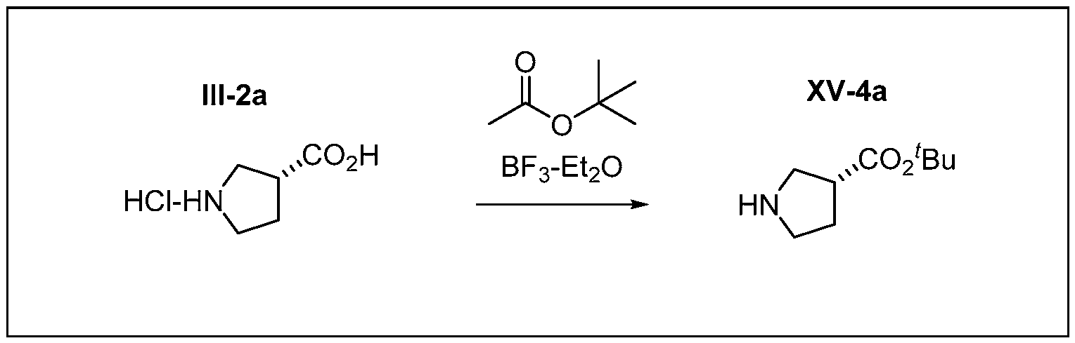Figure imgf000245_0001