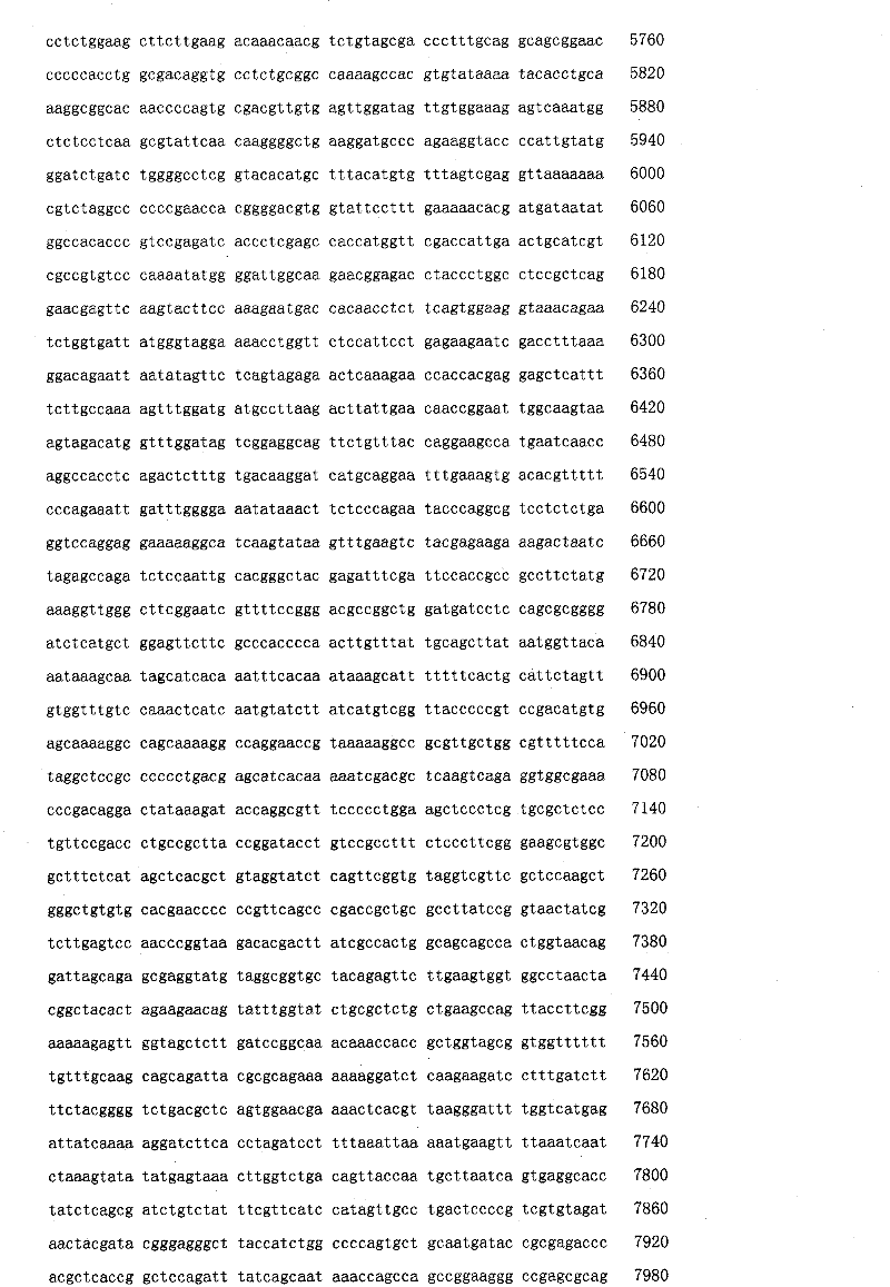 Figure IPA00001374087500311