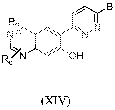 Figure imgf000051_0002