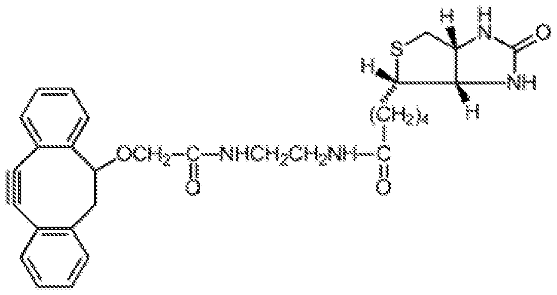 Figure imgf000022_0001
